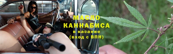 гидра Няндома