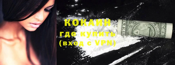 гидра Няндома