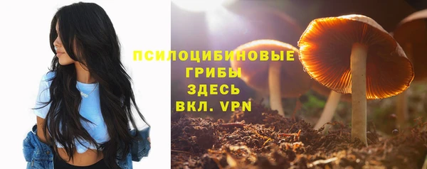 экстази Нязепетровск