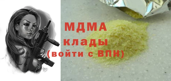 гидра Няндома