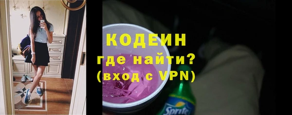 гидра Няндома