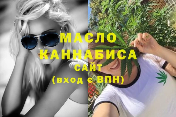 гидра Няндома