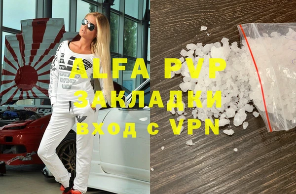 гидра Няндома