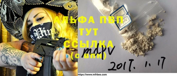 гидра Няндома