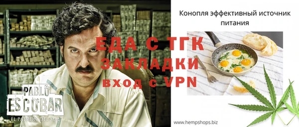 гидра Няндома