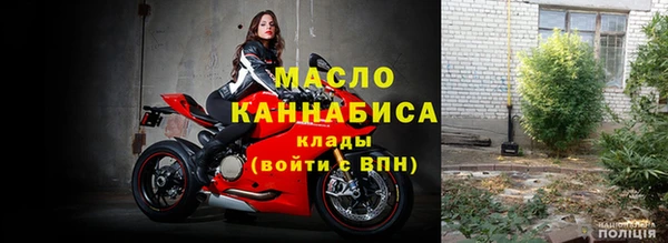 гидра Няндома