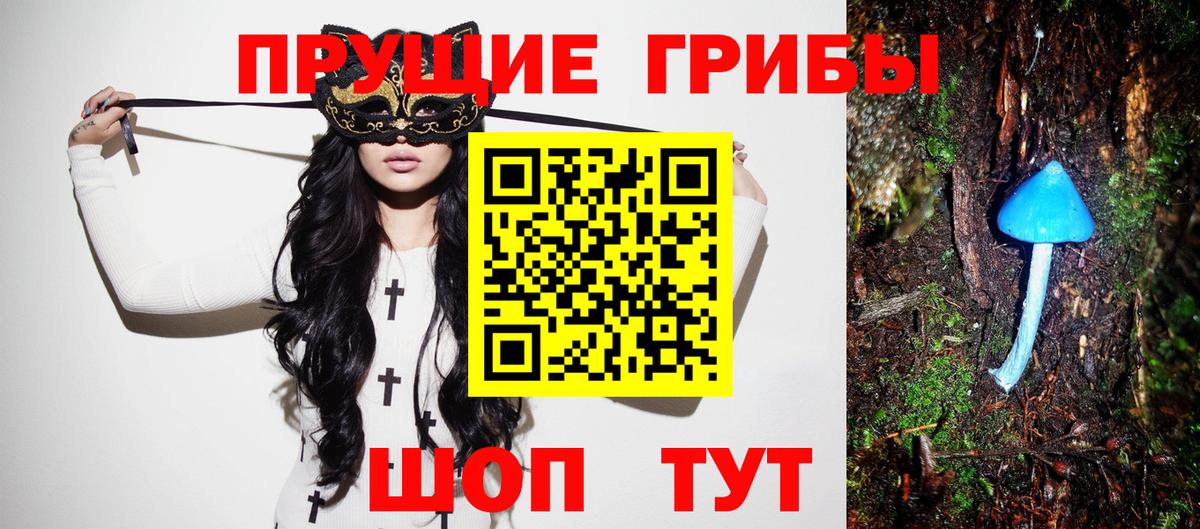 Галлюциногенные грибы Magic Shrooms Кисловодск