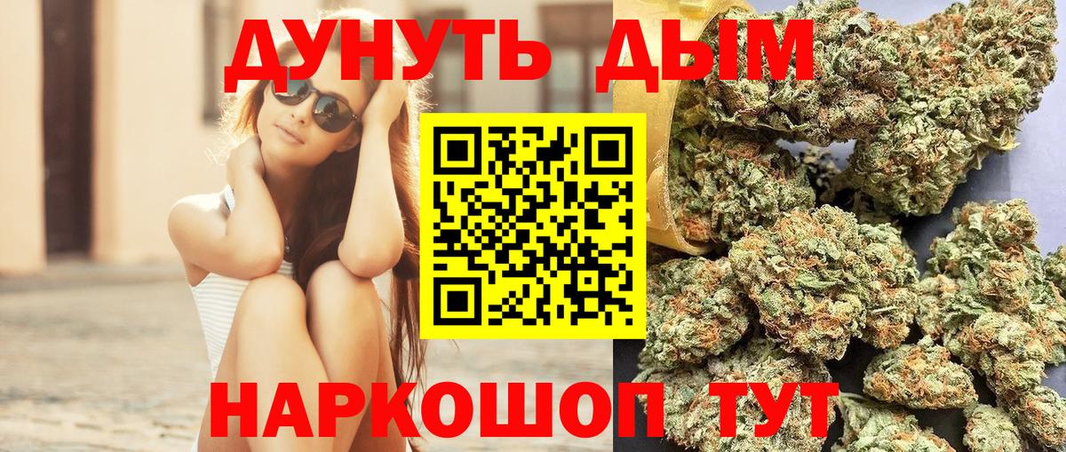 Каннабис план Кисловодск